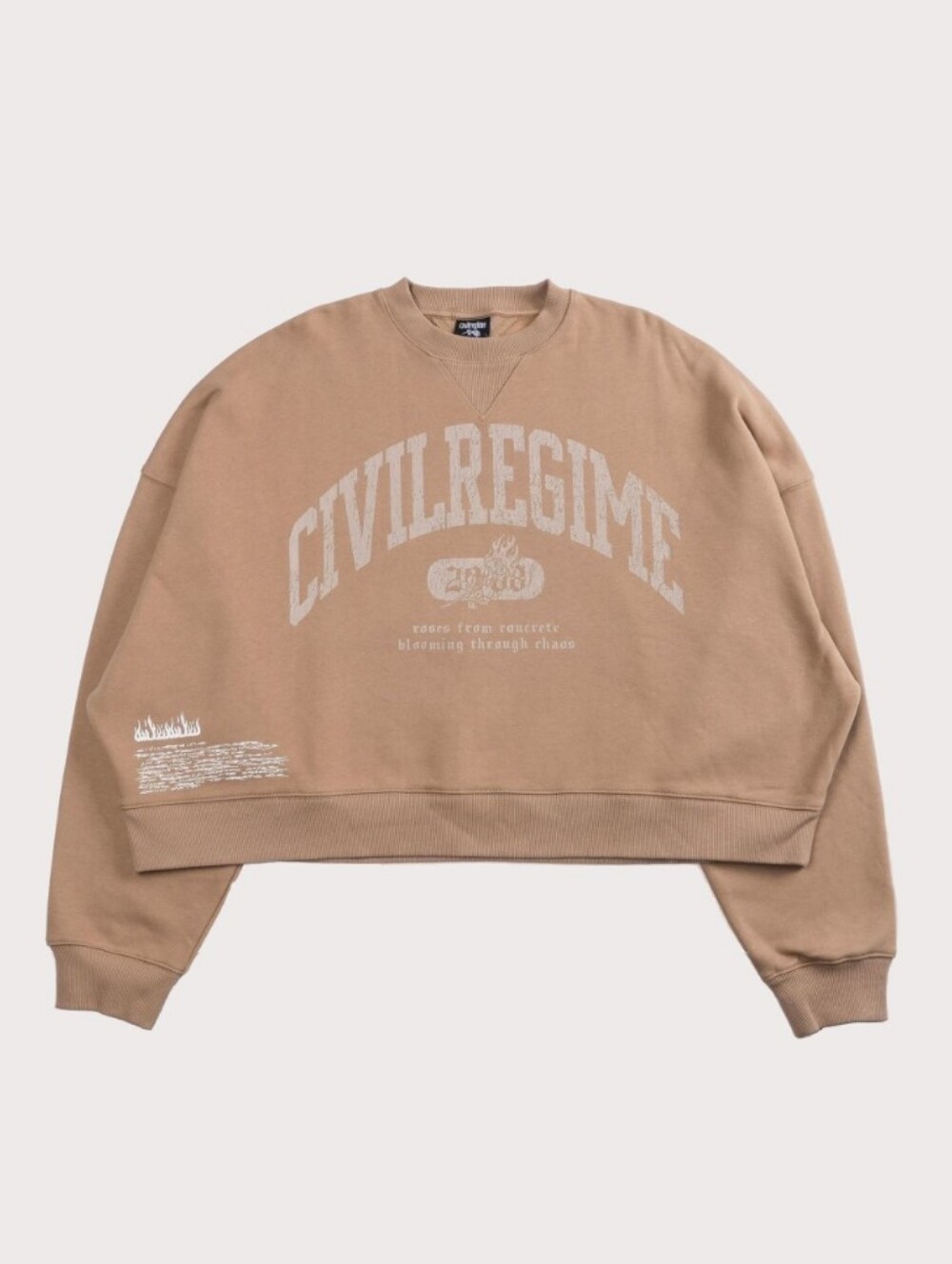 Civil Regime - NWT / Oversized - Graphic Cropped Sweatshirt